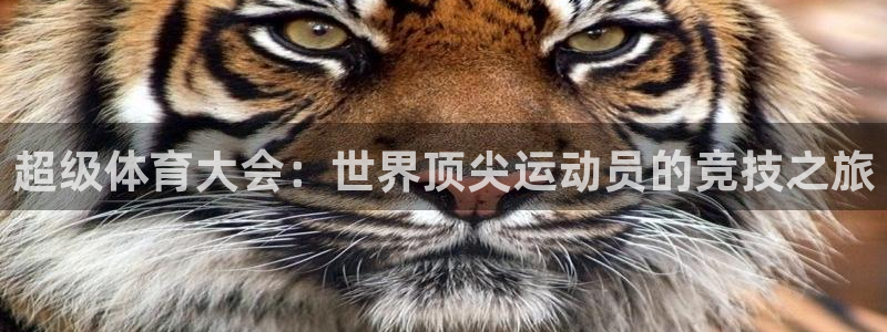 球神直播体育在线观看网站：超级体育大会：世界顶尖运动员的竞技之旅