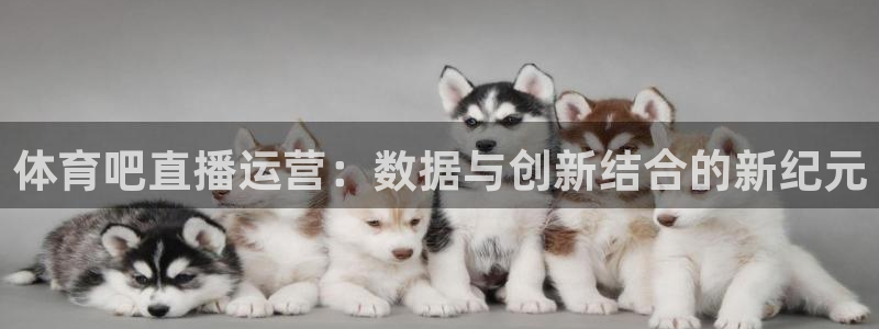 nba球神直播：体育吧直播运营：数据与创新结合的新纪元