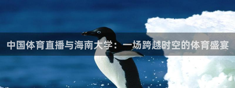 球神直播nba：中国体育直播与海南大学：一场跨越时空的体育盛宴