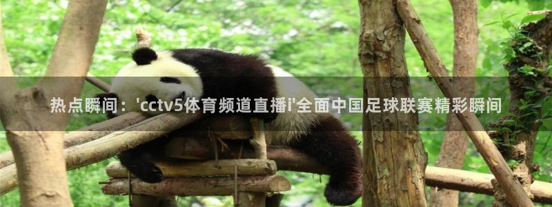 球神直播在线直播免费观看：热点瞬间：\'cctv5体育频道直播i\'全面中国足球联赛精彩瞬间