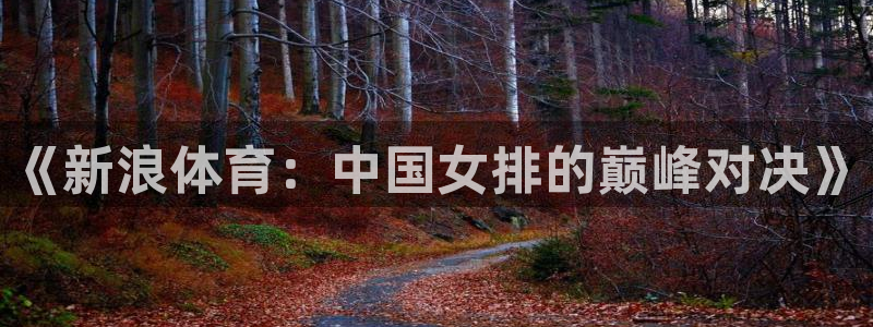 球神体育直播在线：《新浪体育：中国女排的巅峰对决》