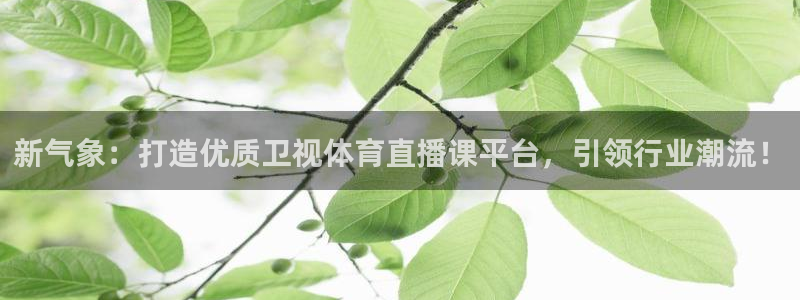 球神体育在线直播：新气象：打造优质卫视体育直播课平台，引领行业潮流！