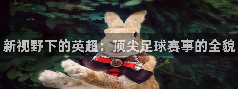 球神直播体育在线观看：新视野下的英超：顶尖足球赛事的全貌
