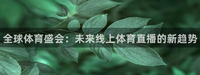 球神直播体育在线观看网址：全球体育盛会：未来线上体育直播的新趋势