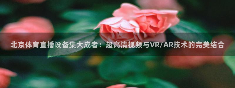 球神直播足球直播：北京体育直播设备集大成者：超高清视频与VR/AR技术的完美结合