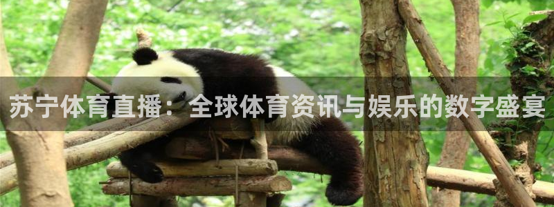 球神直播网免费直播在线观看：苏宁体育直播：全球体育资讯与娱乐的数字盛宴