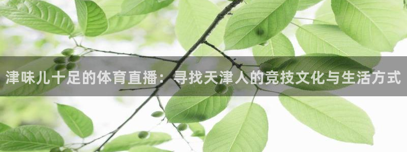 球神直播体育在线观看网站：津味儿十足的体育直播：寻找天津人的竞技文化与生活方式